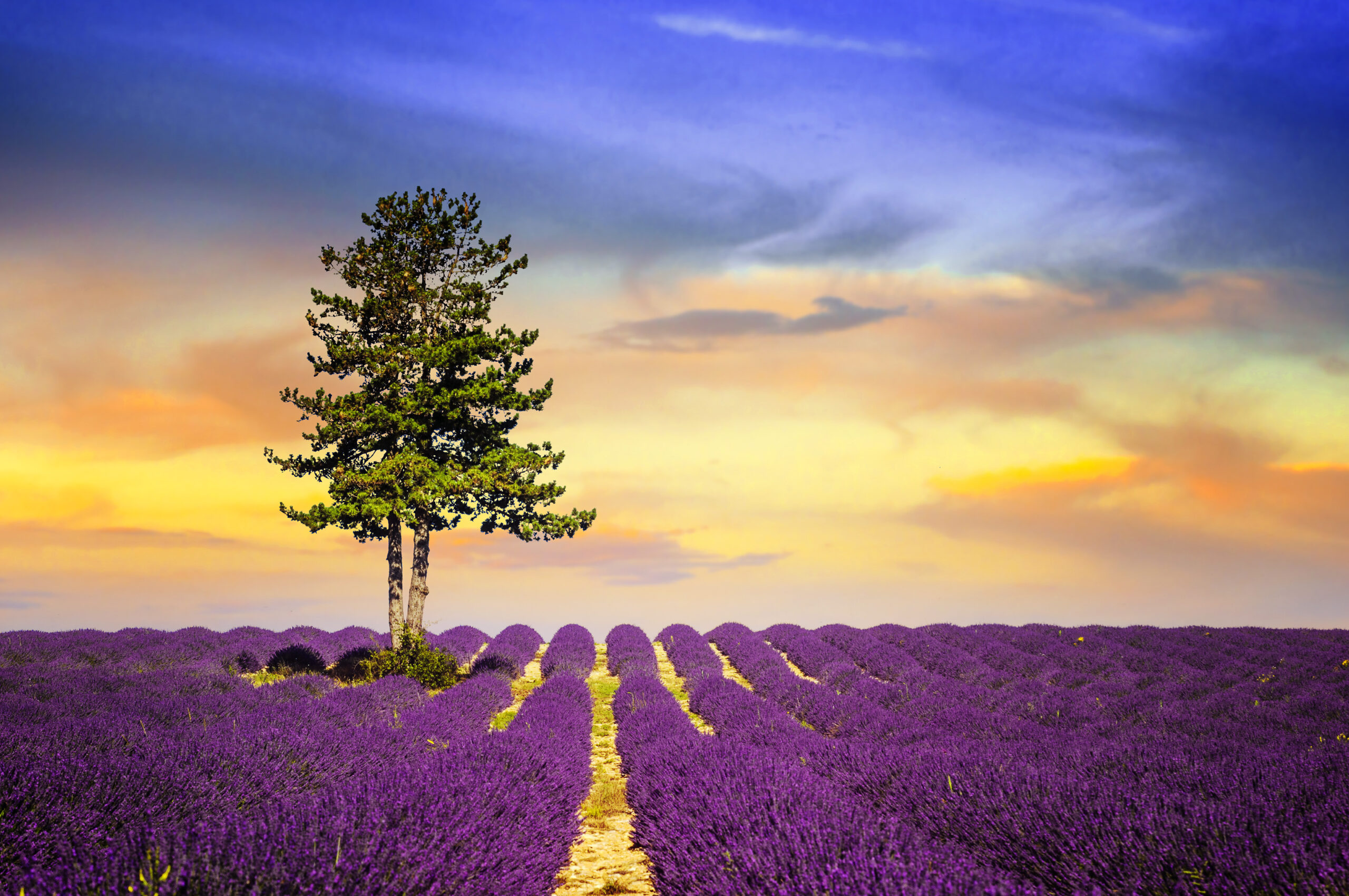 what is the climate in France